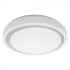 Светодиодный светильник Smart WiFi ORBIS MOON RD380 TW GR Светодиодный светильник Smart WiFi ORBIS MOON RD380 TW GR