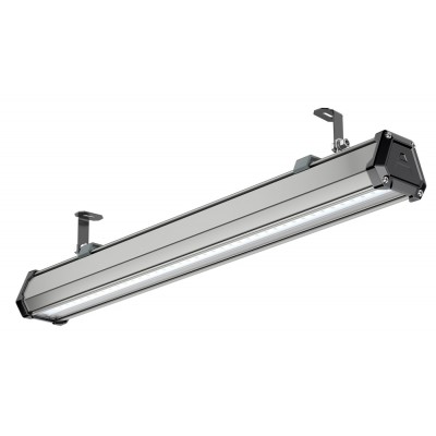 Светильник TL-PROM LINE 17 750 D60x100 Светильник TL-PROM LINE 17 750 D60x100