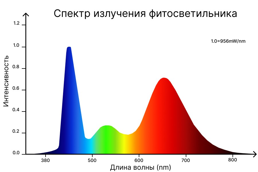 спектр